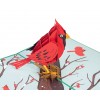 Cardinal Pop Up Card