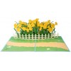 Daffodil Garden Pop Up Card
