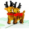 Reindeer Pop Up Christmas Card