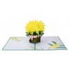 Mimosa Pop Up Card